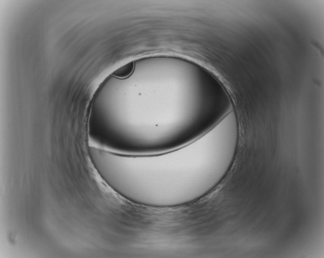 X0000103171534200808221117