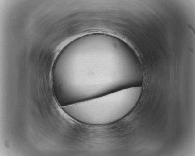 X0000103171535200808221117