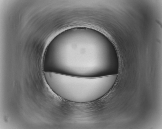 X0000103171536200808221117