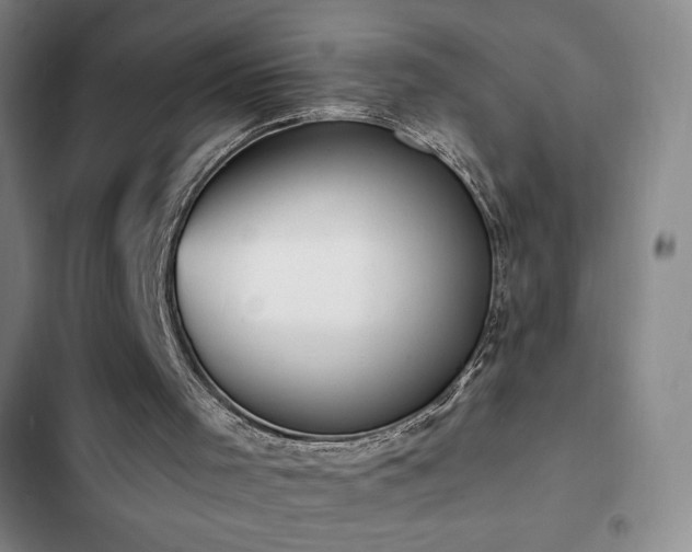 X0000103170001200808221246