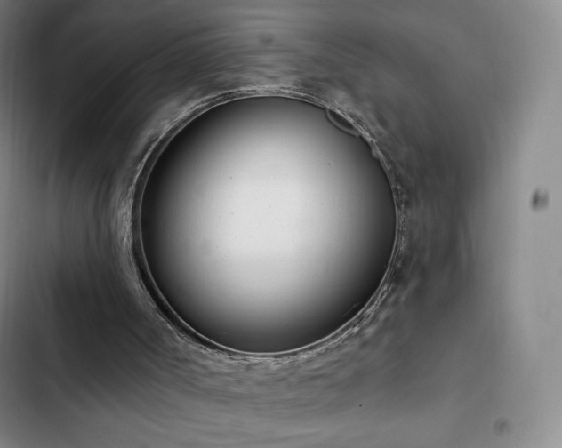 X0000103170002200808221245