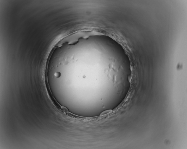 X0000103170003200808221245