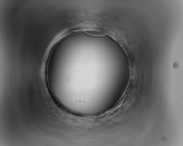 X0000103170004200808221245