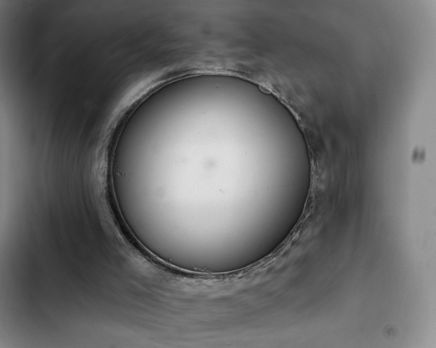 X0000103170005200808221245