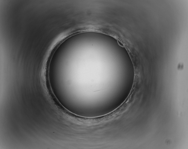 X0000103170006200808221245