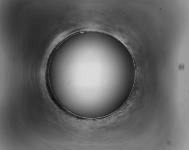 X0000103170007200808221245