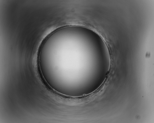 X0000103170008200808221245