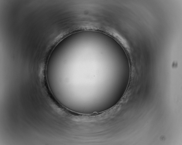 X0000103170009200808221245