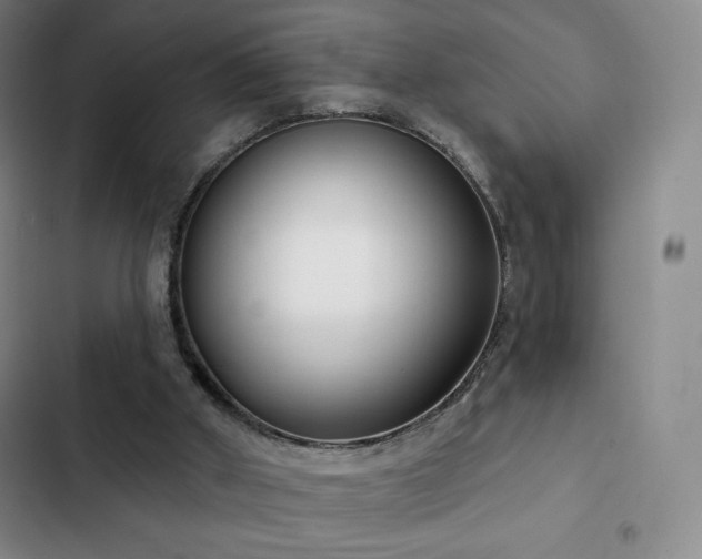 X0000103170010200808221245