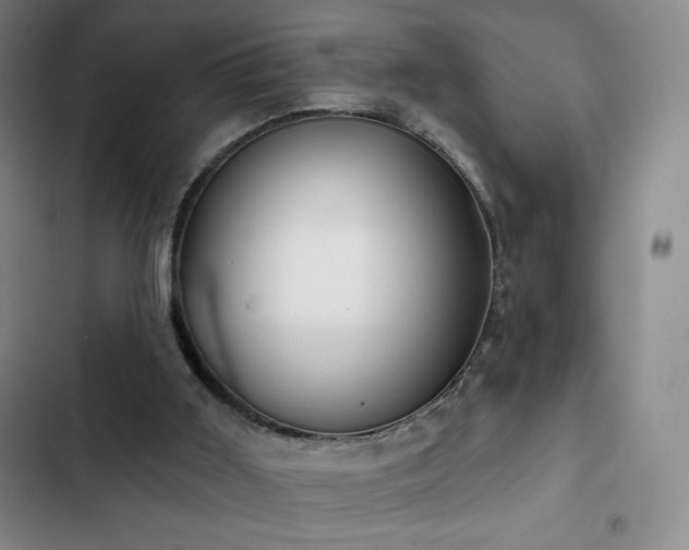 X0000103170011200808221245