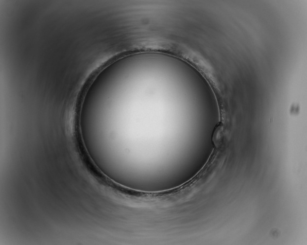 X0000103170012200808221245