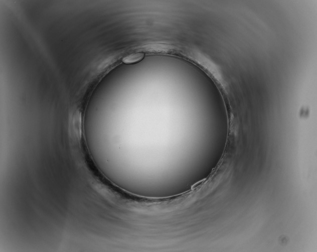 X0000103170013200808221245