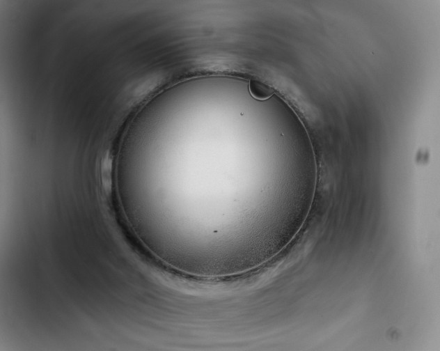 X0000103170014200808221245