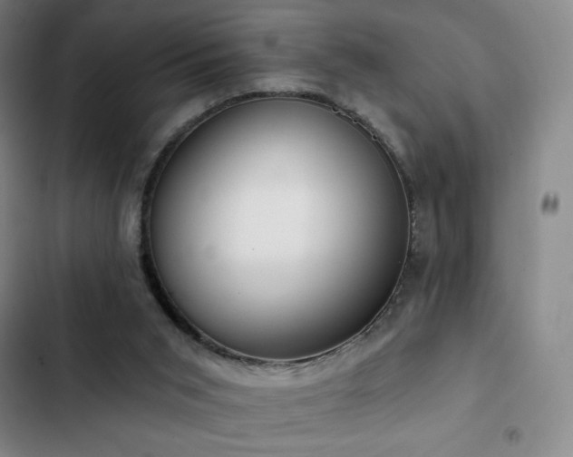 X0000103170015200808221245