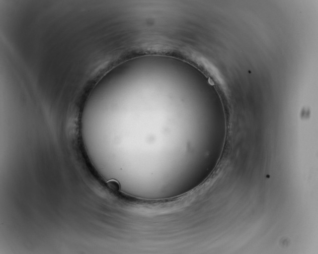 X0000103170017200808221245