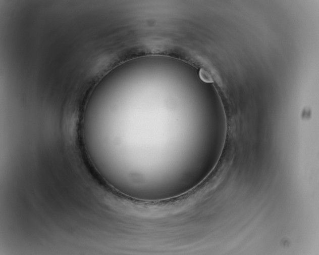 X0000103170018200808221245