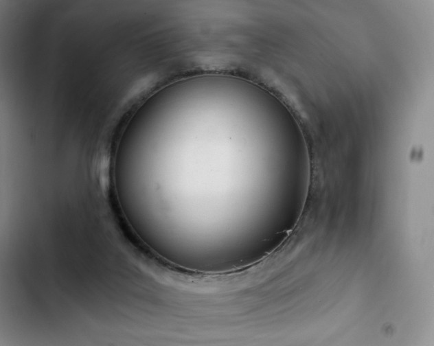 X0000103170019200808221245