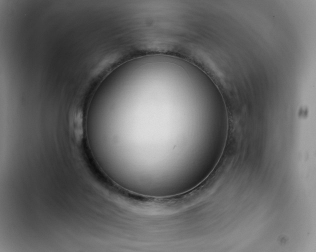 X0000103170020200808221245