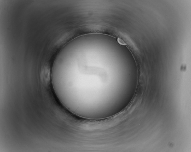 X0000103170021200808221245