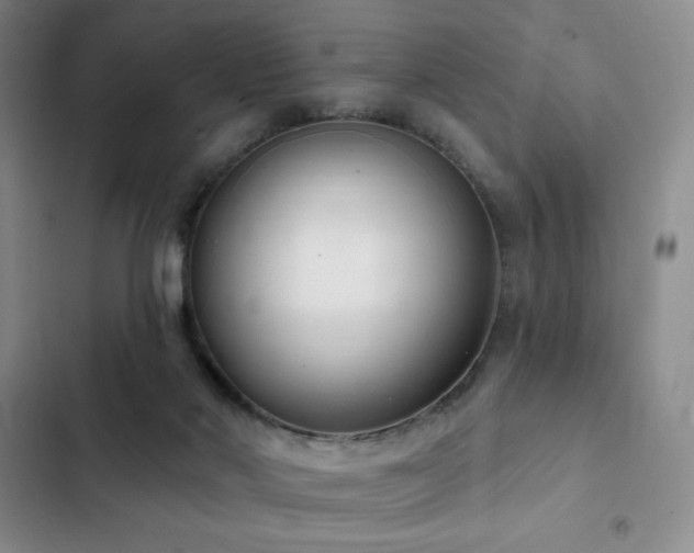 X0000103170022200808221245