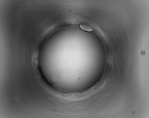 X0000103170023200808221245