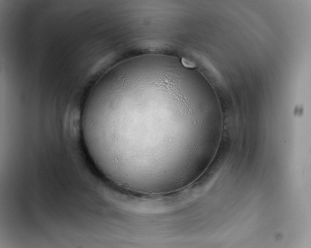 X0000103170024200808221245