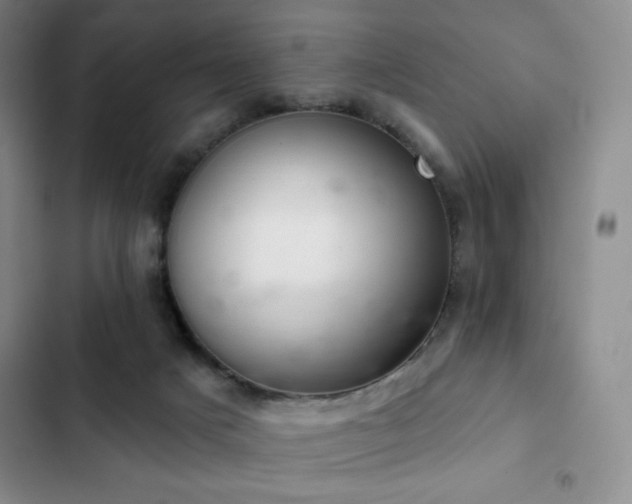 X0000103170025200808221245