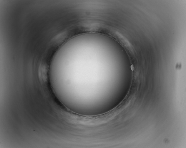 X0000103170026200808221245