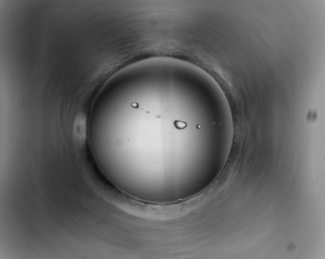 X0000103170027200808221245