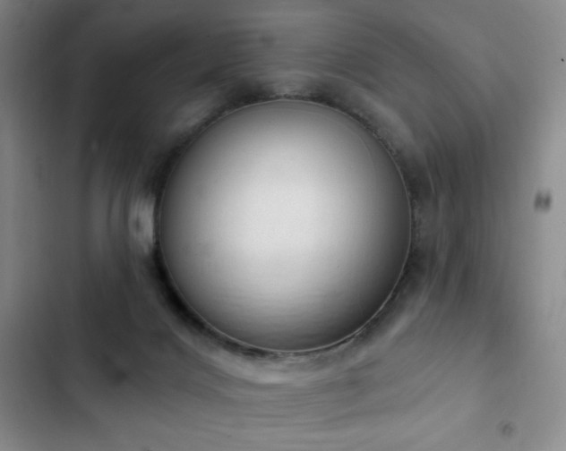 X0000103170028200808221245