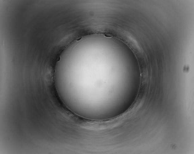 X0000103170029200808221245