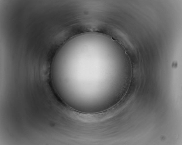 X0000103170030200808221245