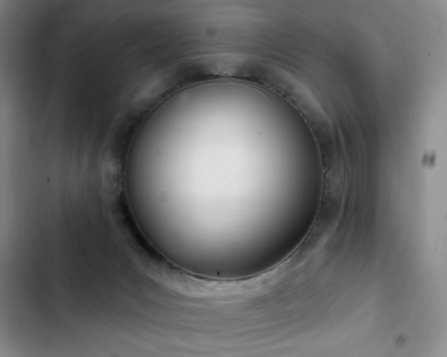 X0000103170031200808221245