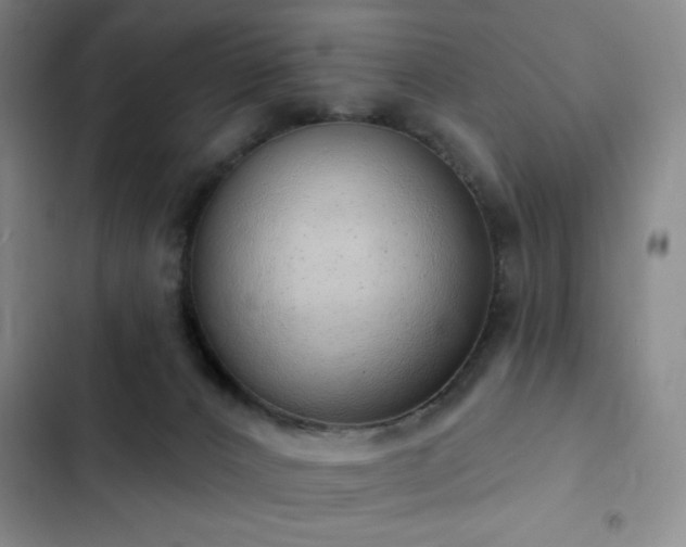 X0000103170032200808221245