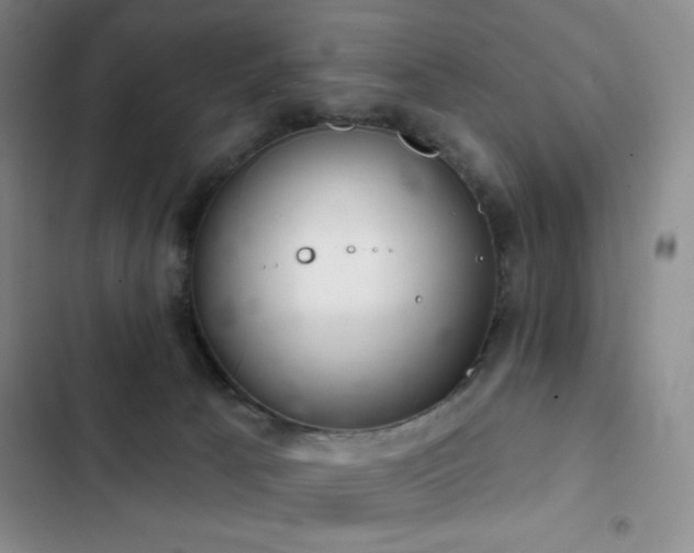 X0000103170033200808221245