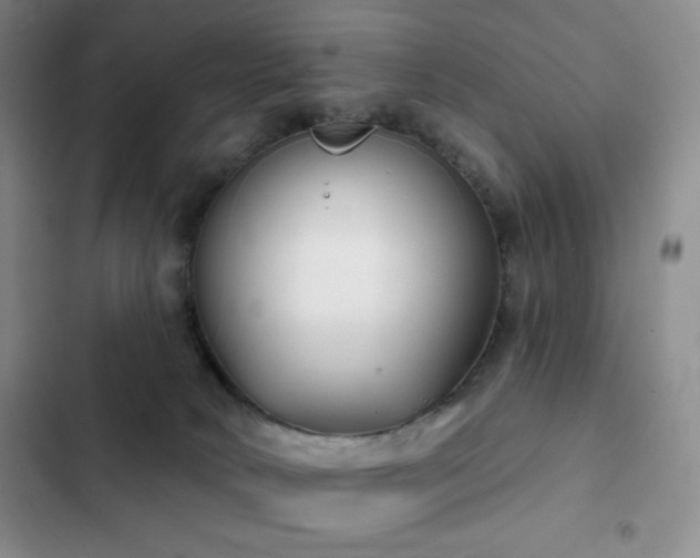 X0000103170034200808221245