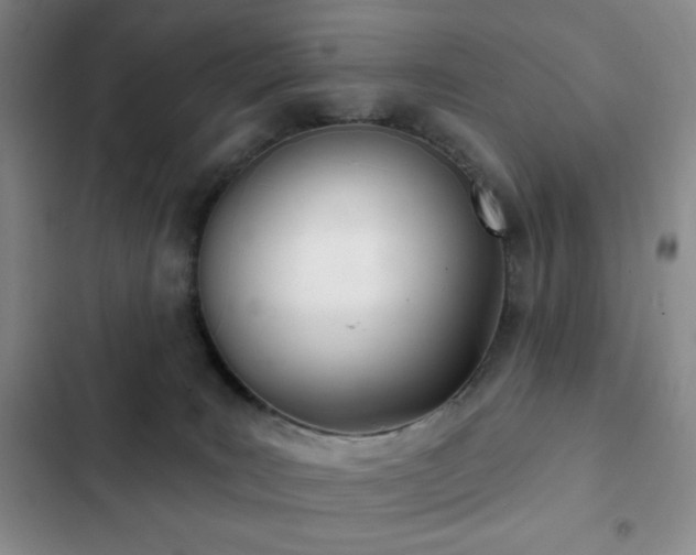 X0000103170035200808221245