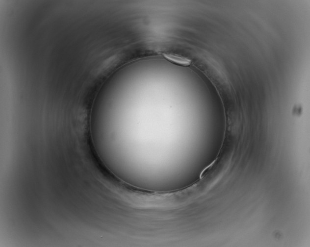 X0000103170036200808221245