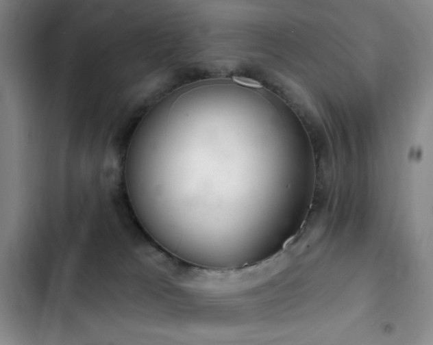 X0000103170037200808221245