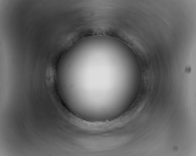 X0000103170038200808221245