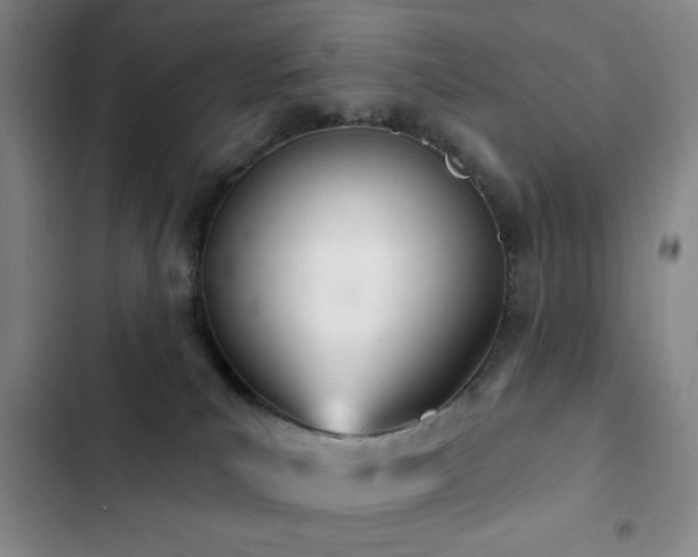 X0000103170039200808221245