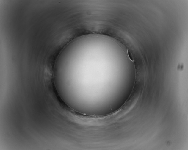 X0000103170040200808221245