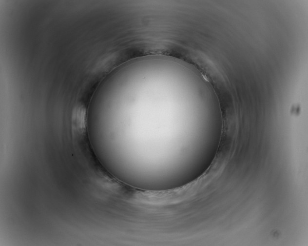 X0000103170041200808221245