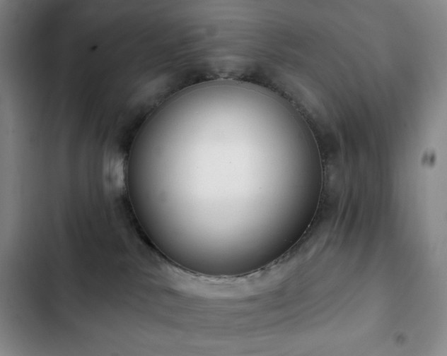 X0000103170042200808221245