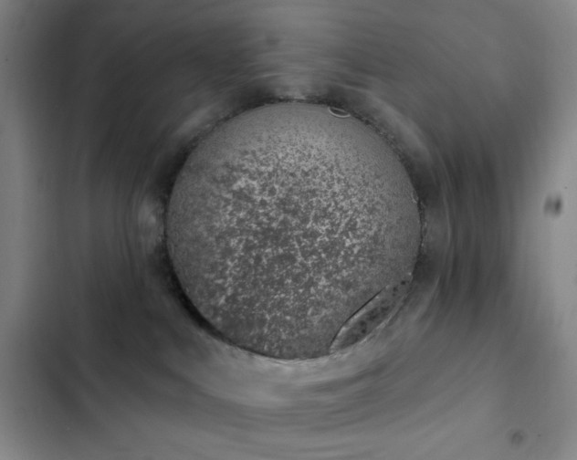 X0000103170043200808221245