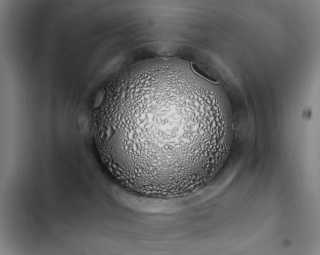 X0000103170044200808221245