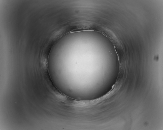 X0000103170045200808221245