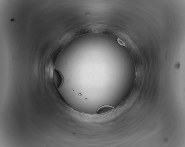 X0000103170046200808221245