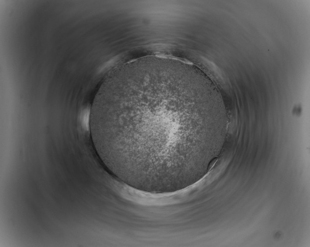 X0000103170047200808221245