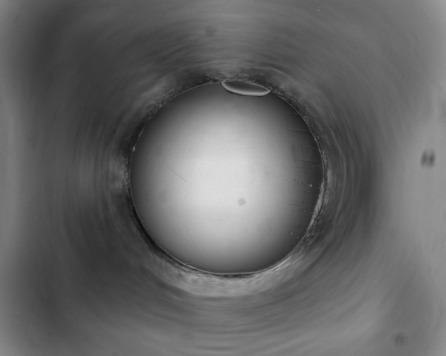 X0000103170048200808221245